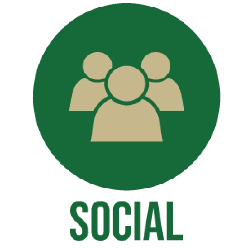 Social Icon