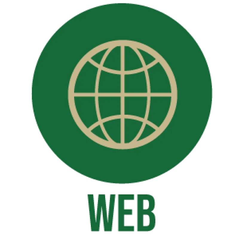 Web Icon